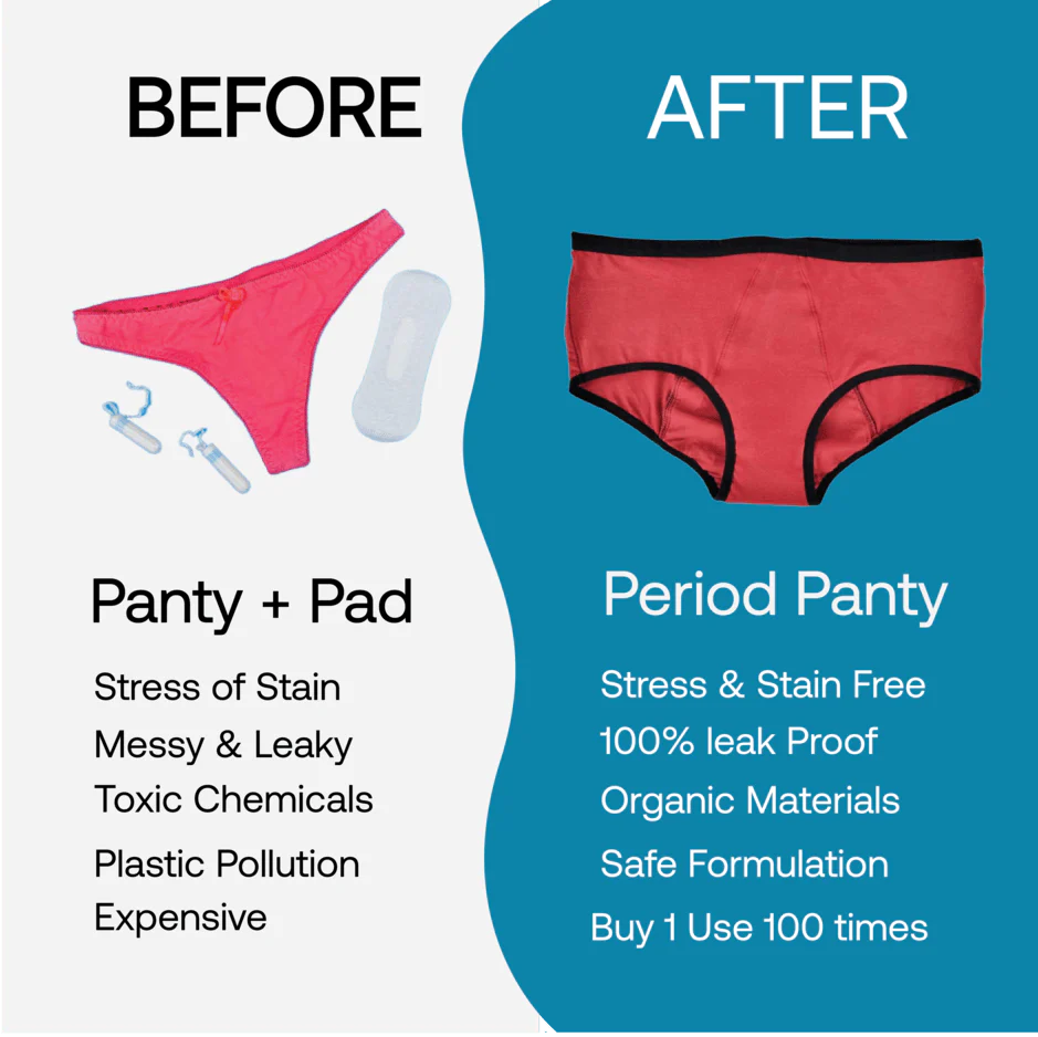 Fendy. Reusable Period Panty (Maroon)